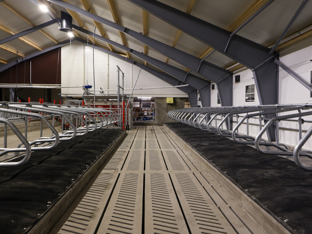 Ola Nesset. Vågå, 2025