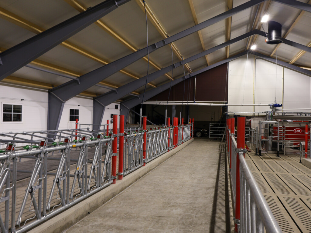 Ola Nesset. Vågå, 2025