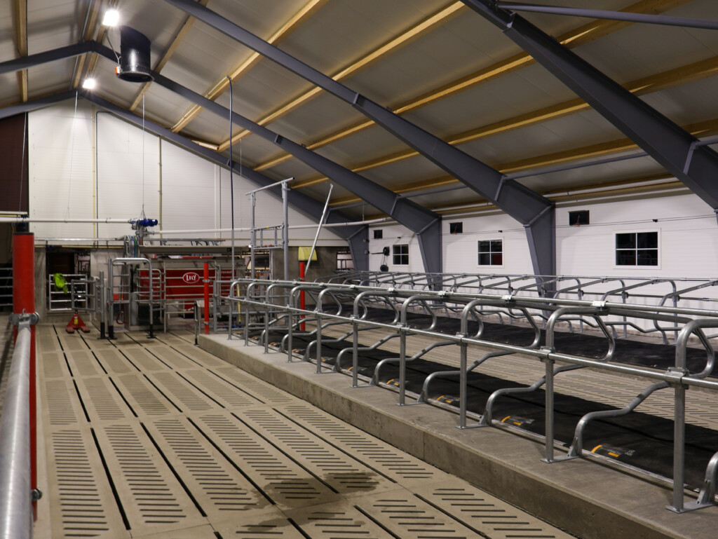 Ola Nesset. Vågå, 2025