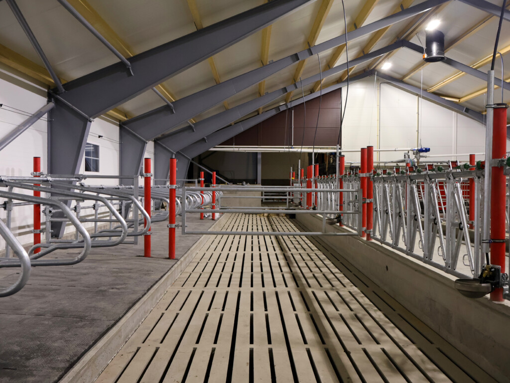 Ola Nesset. Vågå, 2025