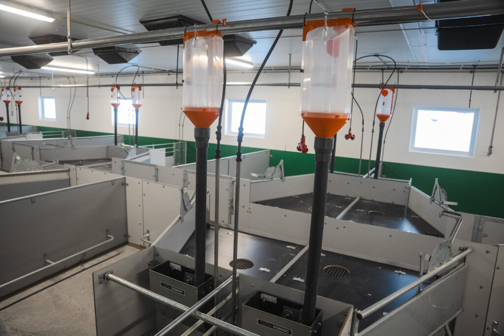 Tørrfôringsanlegg. 120 mm sandwichelementer i taket